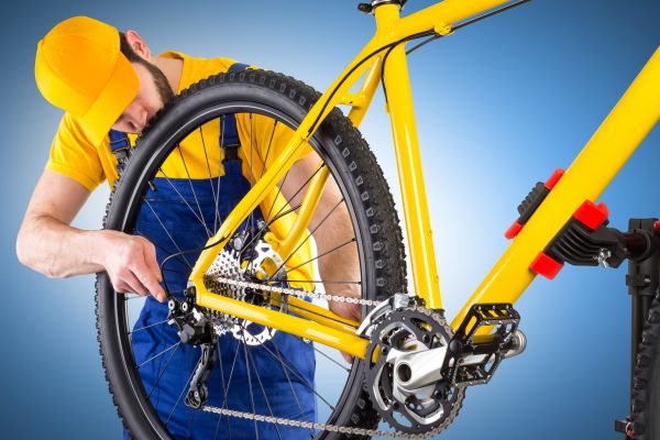 Bike Assembly