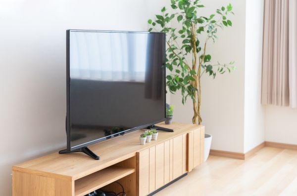 TV Stand Assembly in Woodland Hills